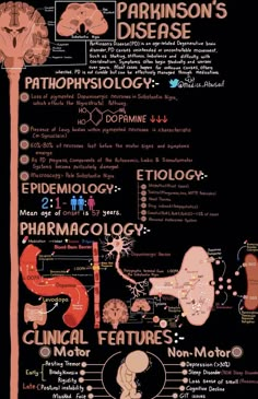 the anatomy of an animal's body, including its organs and their functions in it