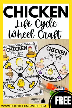 the chicken life cycle worksheet for kids to learn how to write and draw