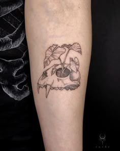 a tattoo on the leg of a person with a skull and plant growing out of it