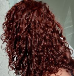 Ideas Color Hair, Auburn Curly Hair Color, Cherry Brown Curly Hair, Cherry Brown Hair Color, Curly Auburn Hair, Deep Auburn Hair, Red Curls