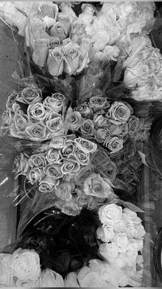 black and white photograph of flowers for sale