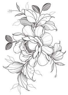 a black and white drawing of flowers with leaves on the bottom half of their petals