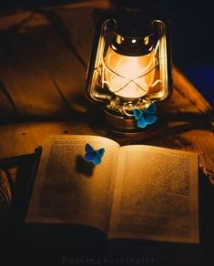 an open book sitting on top of a wooden table next to a lit candle and butterfly