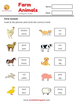 Free printable worksheet for young learners. Download the pdf file for your child. Farm Animals Worksheets For Grade 1, Farm Animals Worksheets For Kindergarten, Farm Animals Worksheets For Kids, Farm Animal Worksheet, Farm Animals Worksheet, Sight Words Sentences, Farms Animals, Farm Animals For Kids, Animals Worksheet