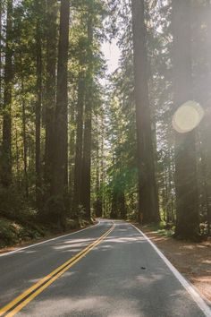 the road is surrounded by tall trees and sun shining through them in the middle of the forest