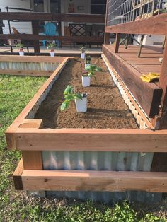 several plants are growing in the raised garden bed