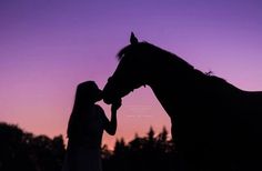 a woman standing next to a horse in front of a purple and blue sky at sunset