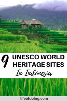 green rice fields with the words 9 unesso world heritage sites in indonesia