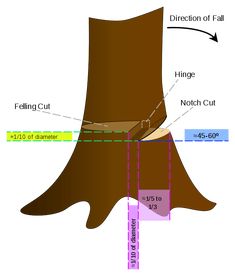 a diagram showing the different parts of a foot and how they are used to cut it