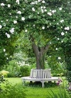 a white bench sitting in the middle of a lush green park filled with trees and flowers