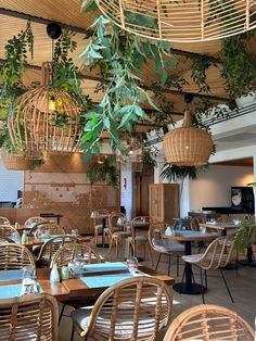 an indoor dining area with wicker chairs and wooden tables, potted plants hanging from the ceiling