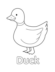 a duck that is standing in front of the word's name and its image