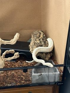 an animal in a display case with wood and fake animals on the ground next to it