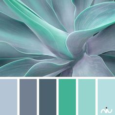 the color scheme is blue, green and grey with white flowers in it's center