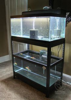 a fish tank sitting on top of a wooden table