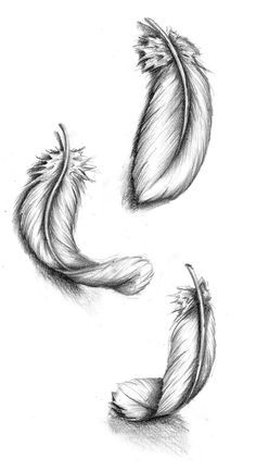 three feathers that are flying in the air