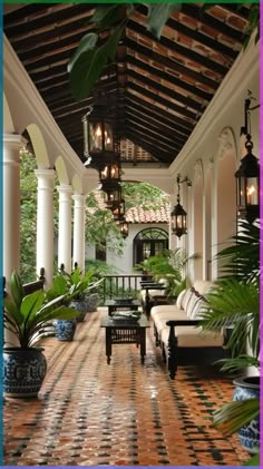 the inside of a house with lots of potted plants and lights hanging from the ceiling