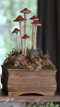 a group of mushrooms sitting on top of a wooden box filled with moss and pine cones