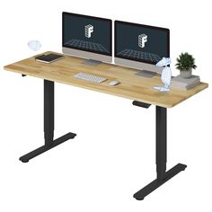 two computer monitors sitting on top of a wooden desk next to a plant and keyboard