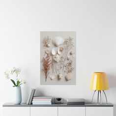 an arrangement of seashells and seaweed on a white wall above a dresser