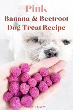 a person holding pink dog treats in their hand with the words, pink banana & beetroot dog treat recipe