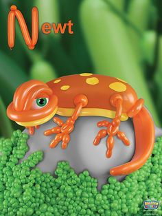 an orange and yellow frog sitting on top of some green beans with the words newton next to it