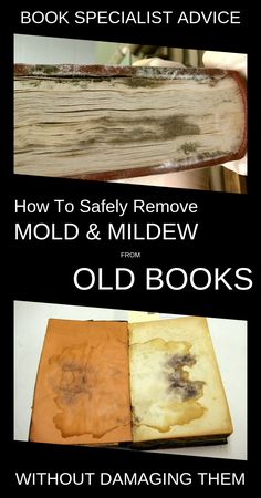 an old book with the title how to safely remove mold and mildew from old books