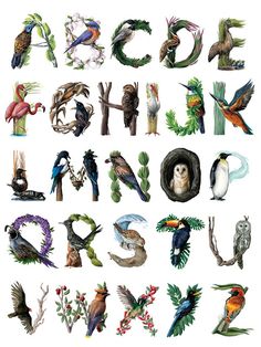 the letters are made up of different kinds of birds