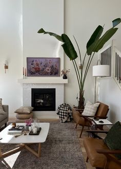 a living room filled with furniture and a large plant in the middle of the room