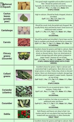 an image of vegetables and their names in the text below it is a chart with pictures of different types of vegetables that include broccoli, cucumber, cauliflower, cabbage,