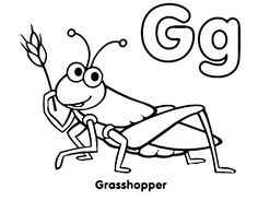 the letter g is for grasshopper coloring page with an insect on it's back