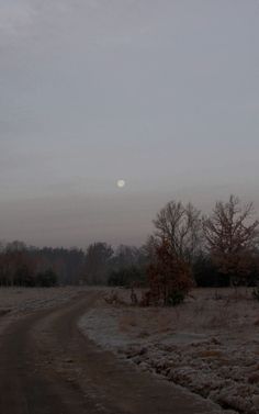 a dirt road with trees and snow on the ground