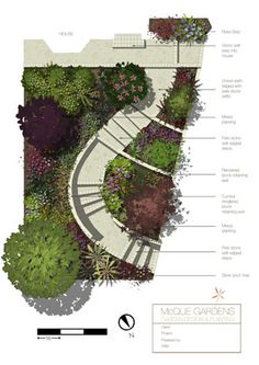 a garden plan with various plants and steps