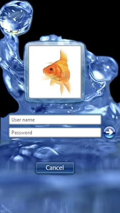 an image of a goldfish on a computer screen