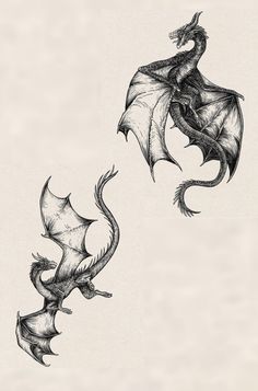 two black and white drawings of dragon like creatures, one with its wings spread out