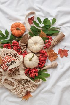 an arrangement of pumpkins, gourds and berries on a white sheet with leaves