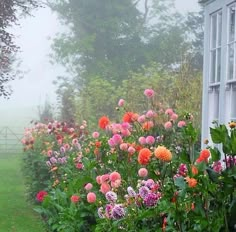 a garden filled with lots of flowers next to a lush green field on a foggy day