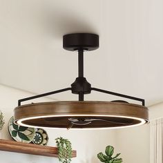 an overhead light fixture in a kitchen with potted plants on the counter and shelves