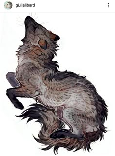 a drawing of a wolf sitting on its hind legs