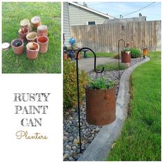 rusty paint can planters in the yard