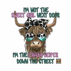 a cow wearing sunglasses with the words i'm not the sweet girl next door