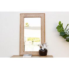 a mirror sitting on top of a wooden shelf next to a potted plant