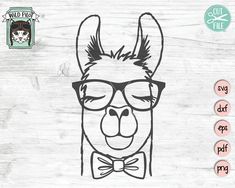 a llama with glasses and a bow tie on it's head is shown