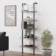 a living room with a black chair and some bookshelves on the wall next to a potted plant