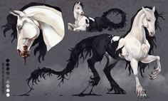 some very pretty black and white horses on a gray background with blood dripping from their mouths