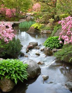 a small stream running through a lush green forest filled with pink and white flowers, surrounded by rocks