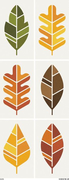 four different types of leaf shapes in various colors and sizes, each with an individual's own logo