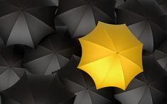 a yellow umbrella surrounded by black umbrellas