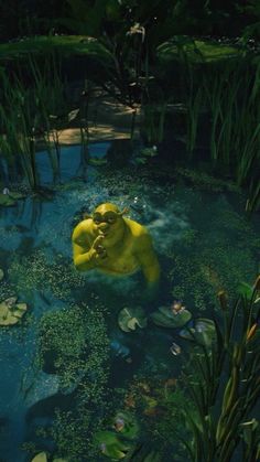 there is a yellow bear floating in the water with lily pads on it's side