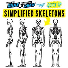 an image of the skeleton skeletons in different positions